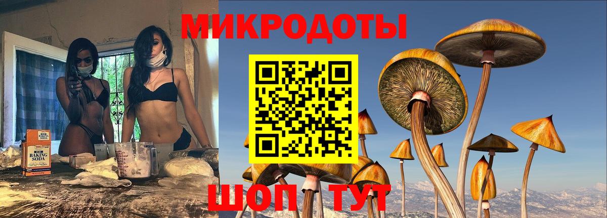 Галлюциногенные грибы мицелий  Галлюциногенные грибы мицелий  Грязи  Вход с VPN 