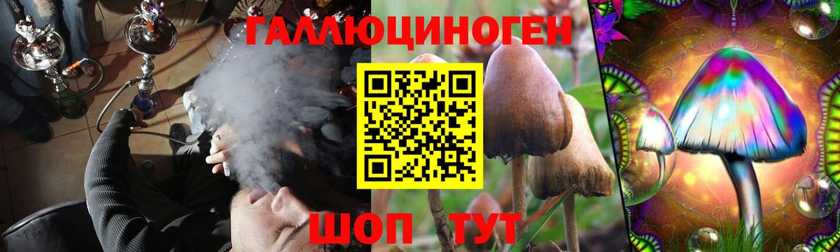 Псилоцибиновые грибы Psilocybine cubensis Грязи